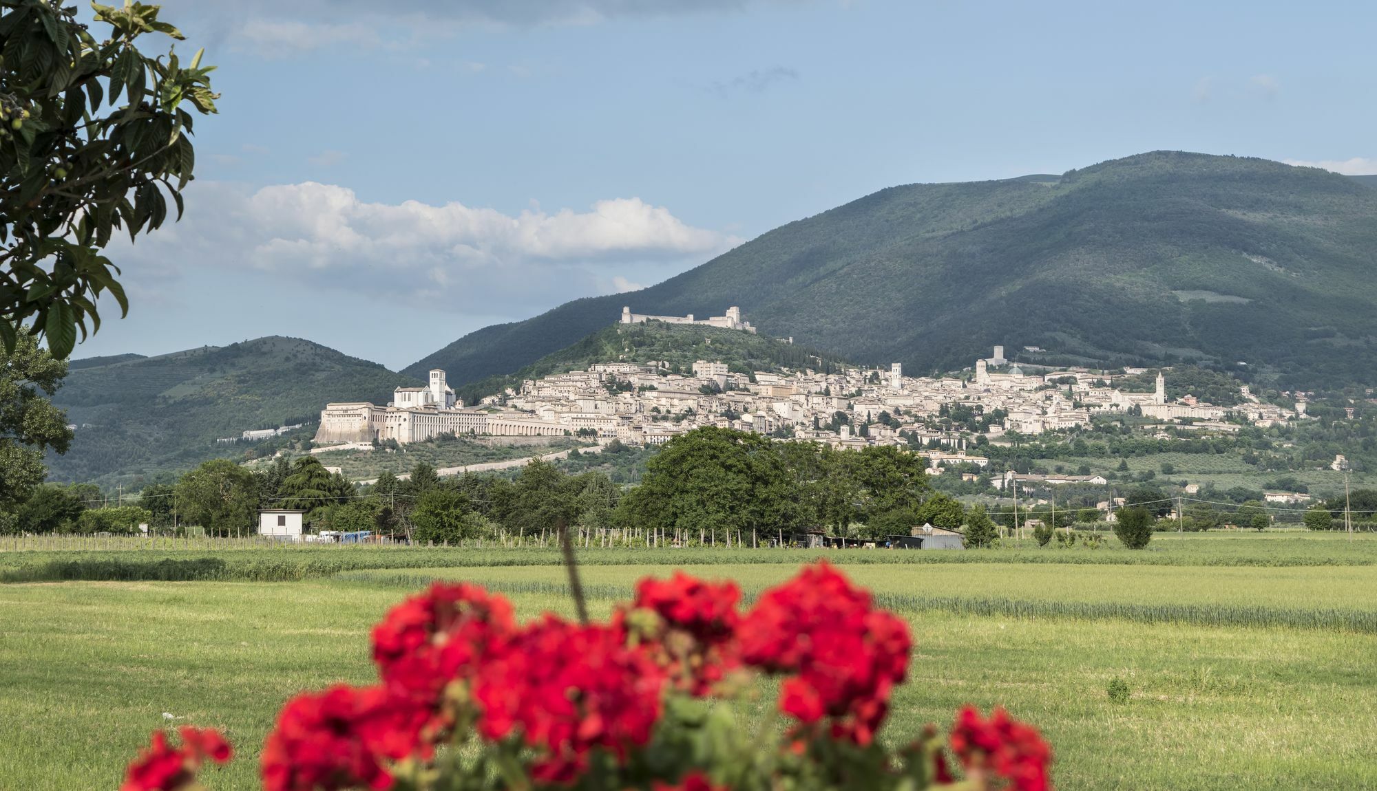 Camere Mariella 아시시 외부 사진